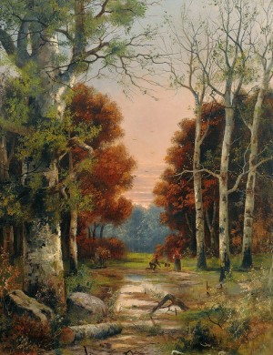 A forest from Austria